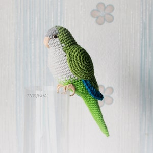 quaker parrot stuffed animal