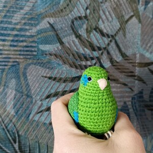 Crochet Green Parrotlet image 4