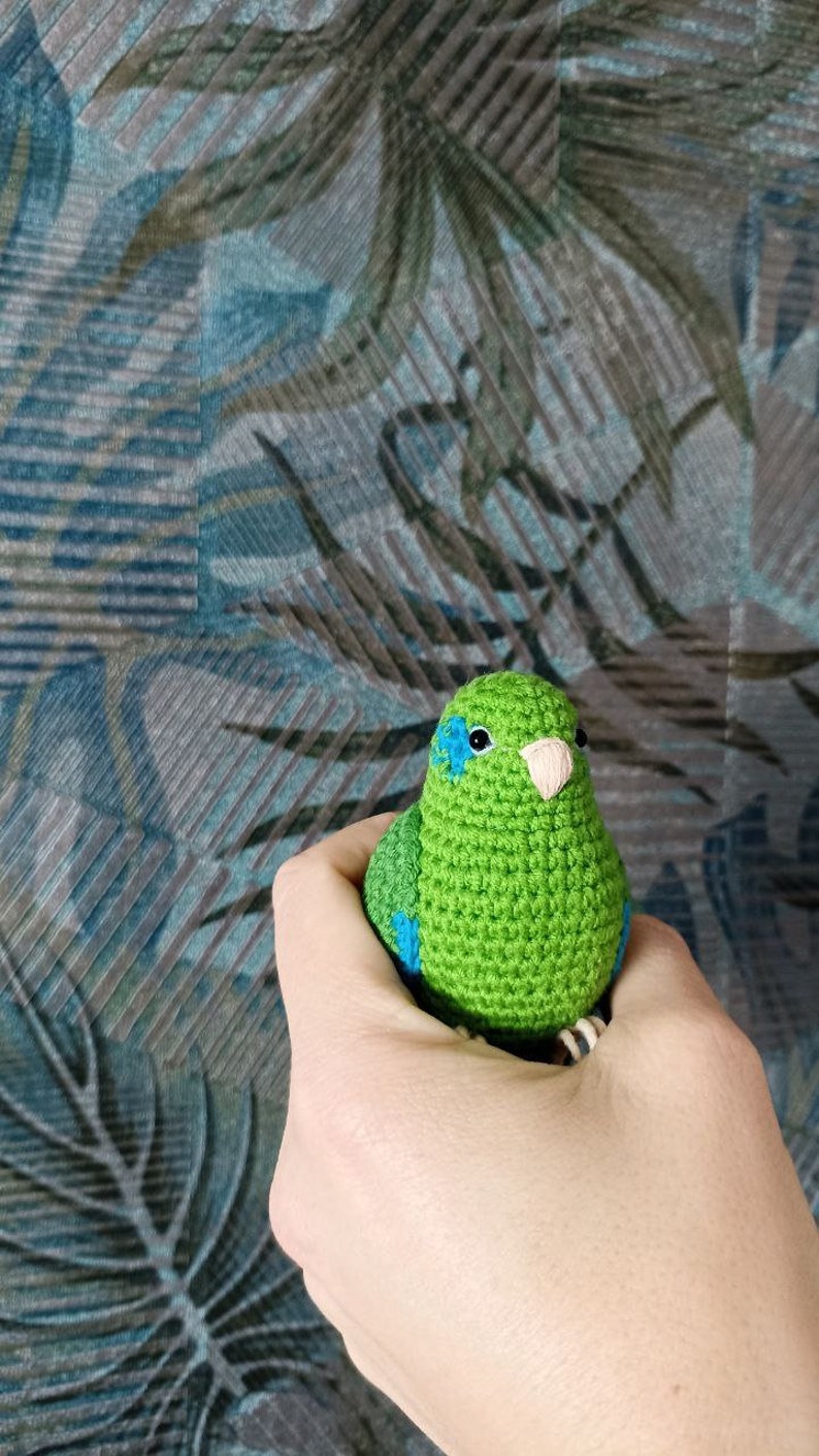 Crochet Green Parrotlet image 4