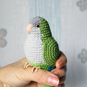 quaker parrot stuffed animal