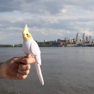 Patrón DIY de loro de ganchillo Fácil Tutorial PDF Amigurumi Cockatiel animal de peluche Pájaro de año nuevo Decoración de ganchillo Adorno de pájaro blanco pérdida de mascota imagen 5