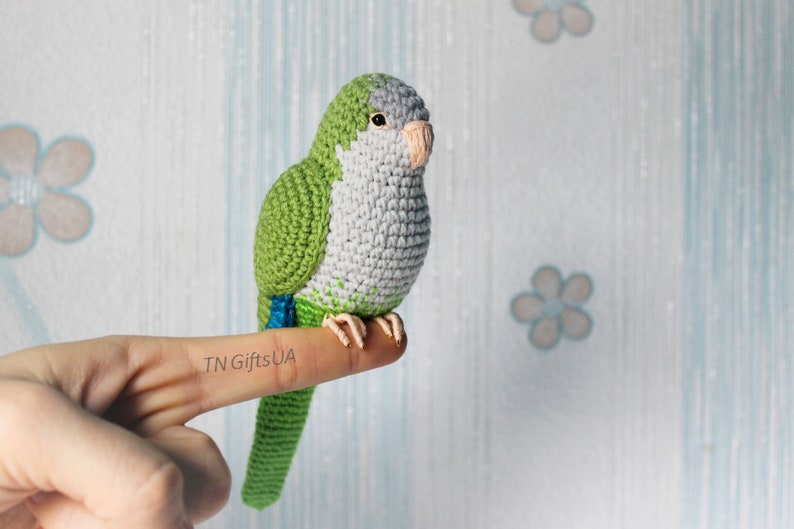 quaker parrot plush