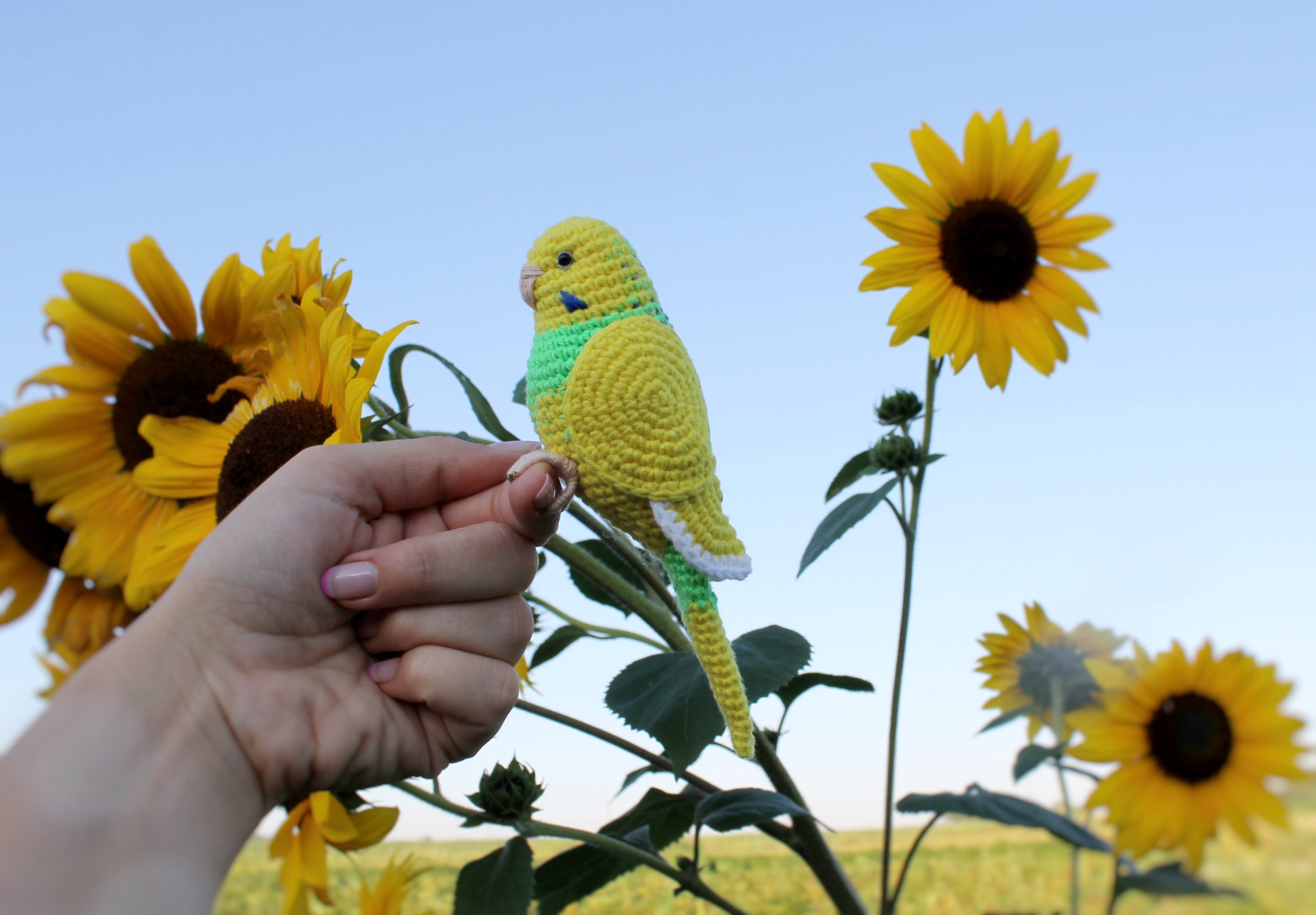 ♡ Budgeby Parrot Jellycat - Budgeby Parrot Plush Toy – Kitchen Store & More