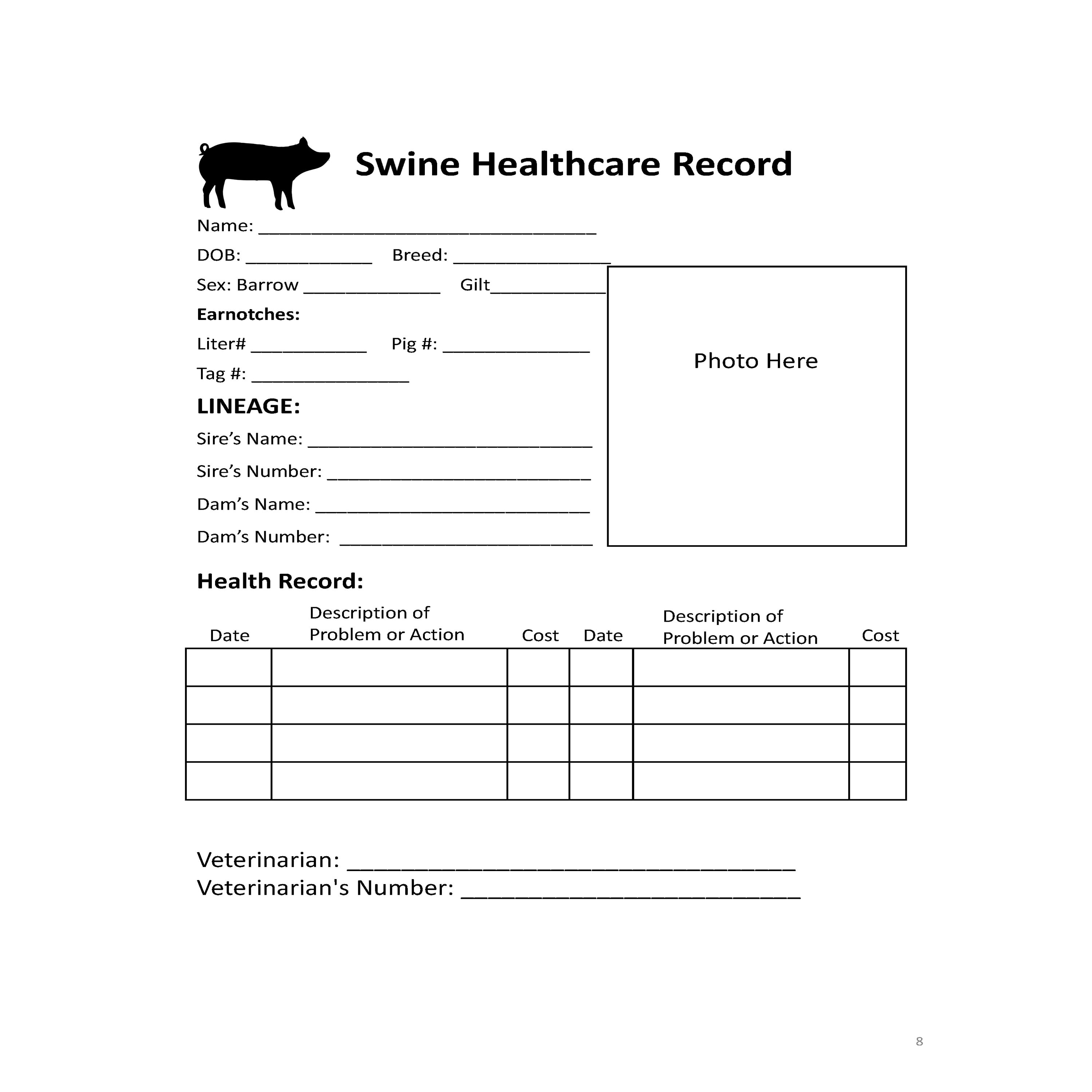 Show Swine Record Keeping Logbook 2021 Livestock Show Pig Etsy