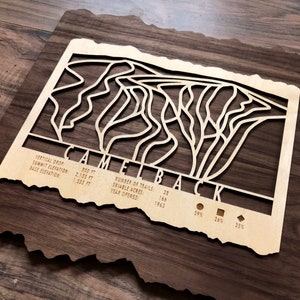 Décoration de ski de dos de chameau - Cadeau pour skieurs et planchistes - Art de ski de montagne pour votre maison de ski de Pocono