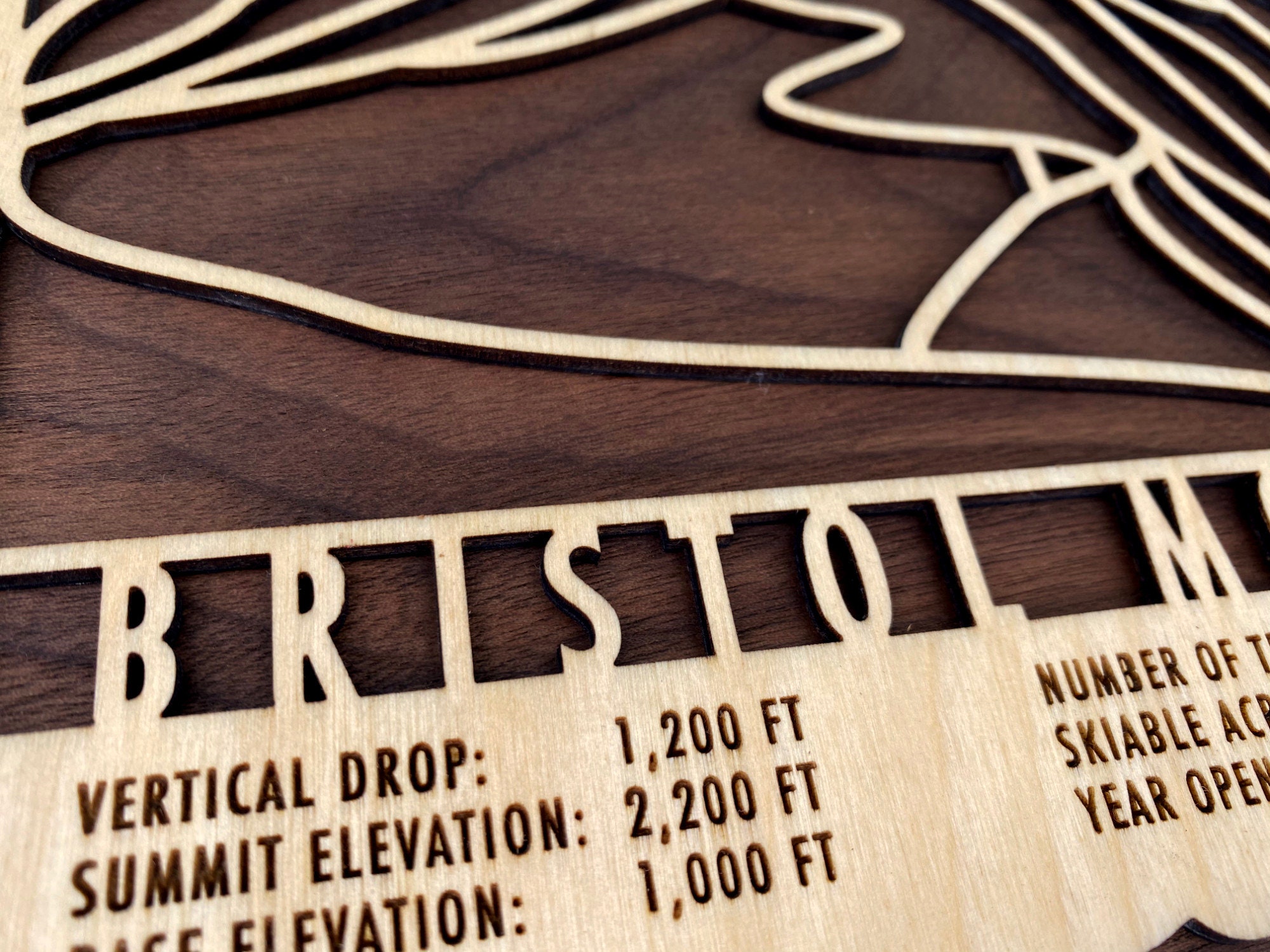 Bristol Mountain Ski Trail Map - Wood Wall Art - Etsy
