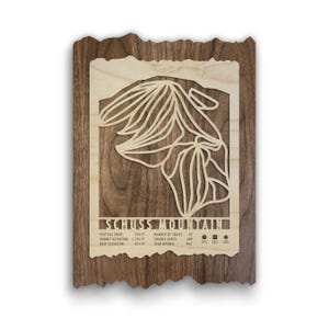 Schuss Mountain Ski Trail Map - Wood Wall Decor