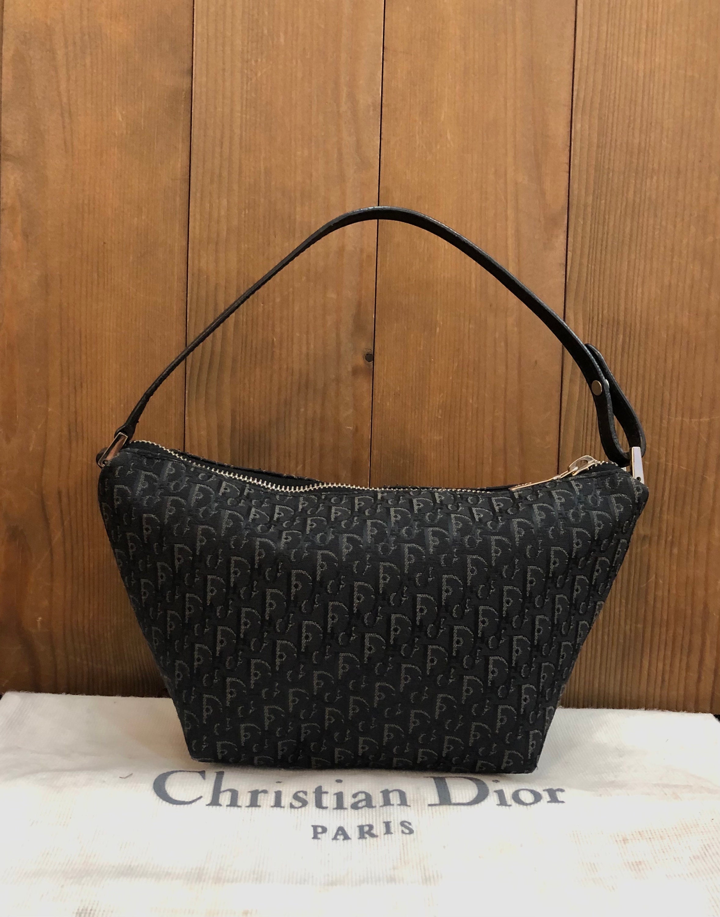 Christian Dior Saddle Shoulder Bag CD Logo Trotter pouch leather