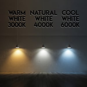 May include: Three light bulbs hanging from the ceiling, each casting a different color of light: warm white (3000K), natural white (4000K), and cool white (6000K).