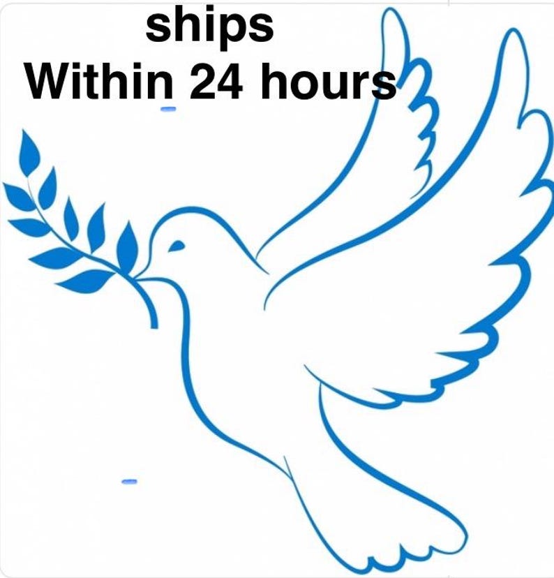 Op de afbeelding: Een blauwe lijntekening van een vliegende duif die een olijftak in de snavel houdt. De tekst boven de duif luidt "ships Within 24 hours" in een vetgedrukt, zwart, schreefloos lettertype op een effen witte achtergrond.