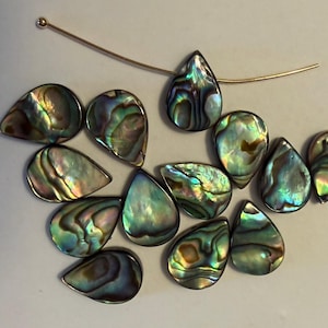 May include: A collection of twelve teardrop-shaped abalone shell beads with iridescent surfaces displaying swirls of green, blue, and purple. One bead is threaded onto a thin, curved gold-toned metal wire pin with a small ball end at the top.