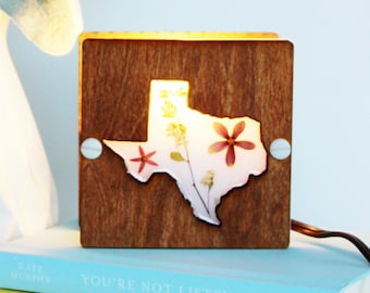 Texas lamp, Texas light, desk lamps, table lamp, Texas gifts, Texas gift, made in Texas, LED light