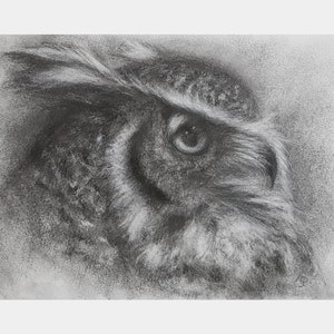 Owl Original Charcoal Drawing / Eagle Owl Hand Drawn Small Bird Wall Art / Wildlife One Of A Kind Artwork / A5 Charcoal Owl Drawing /