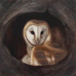 Barn Owl Nesting In a Tree Original Fine Art Oil Painting On 12 x 12 Inches Panel