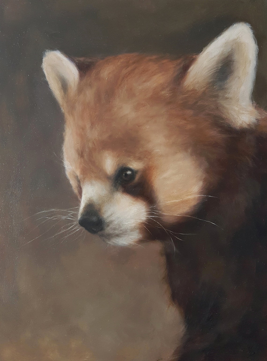 RED PANDA PAINTING / Red Panda Original Oil Painting / Etsy