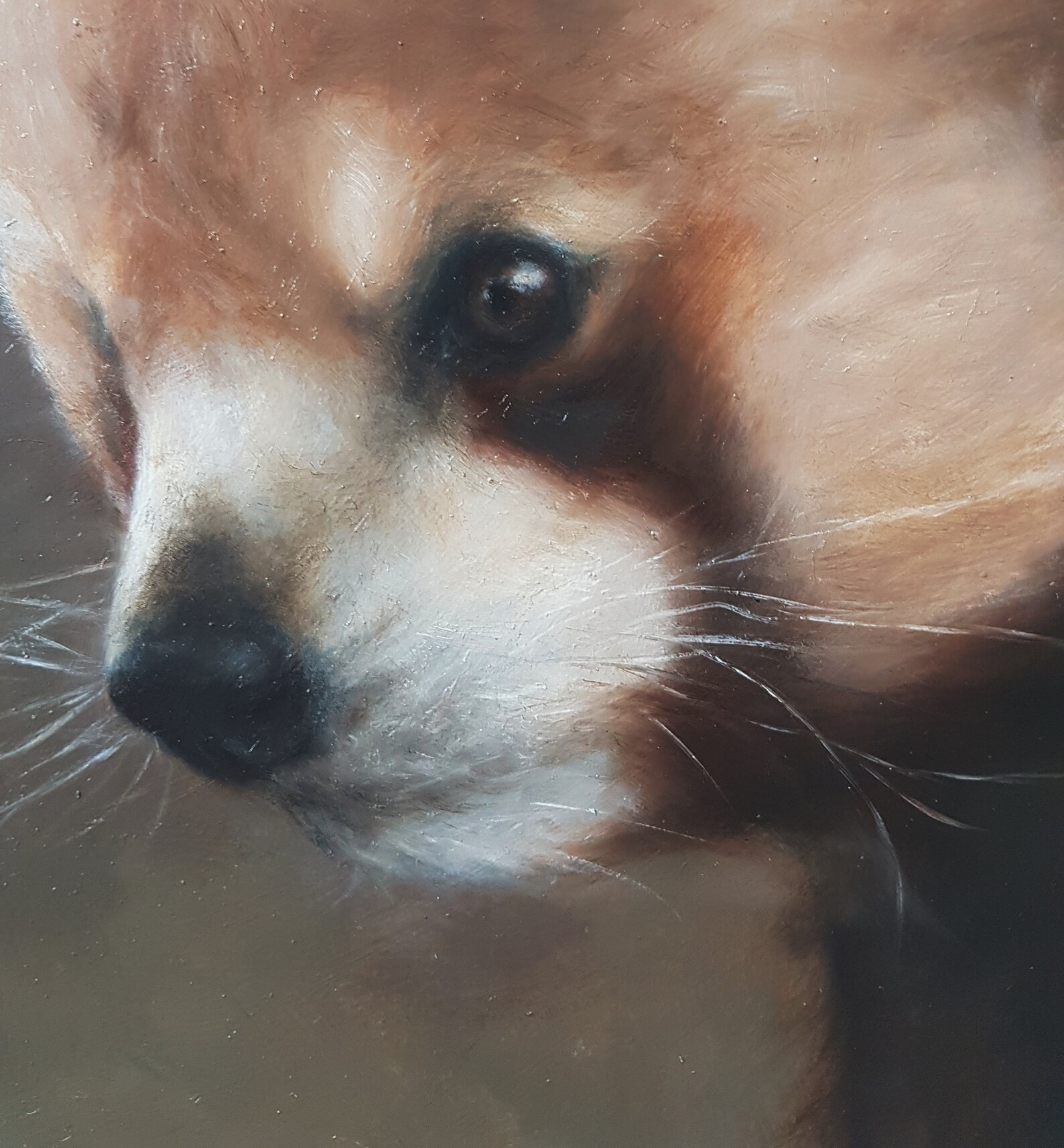 RED PANDA PAINTING / Red Panda Original Oil Painting / Etsy