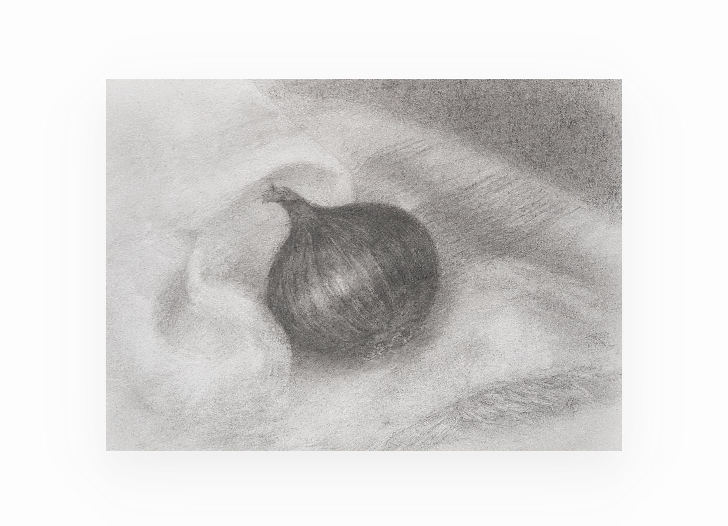 Simple picture onion #draw #drawing #foryou #tiktokartist | TikTok