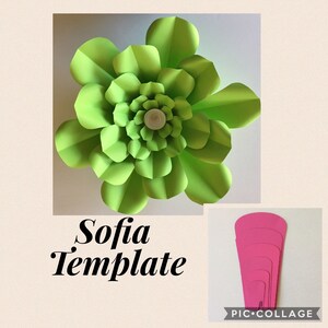 PDF Sofia Template