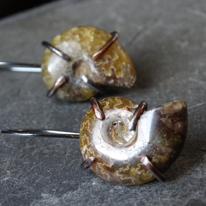 Earthy ammonite silver earrings with copper prongs.