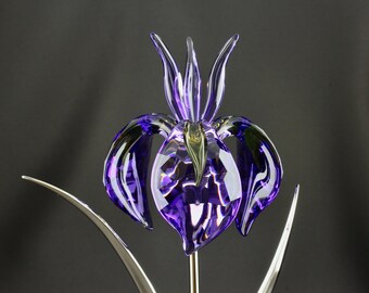 il_340x270.6309196760_8ft2.jpg