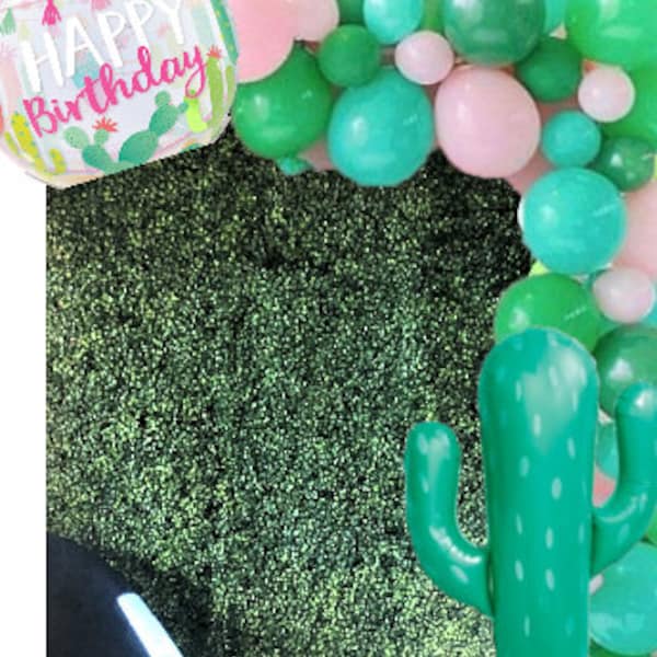 Balloon Garland DIY Kit Desert Cactus Theme