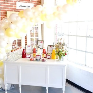 Yellow Balloon Garland Kit Mimosa Bar Theme