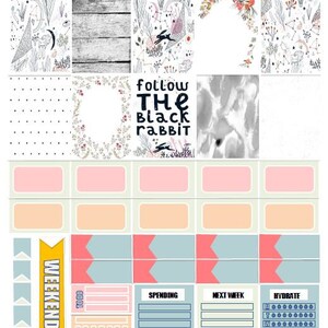 Planner Stickers - Wonderland Rabbit