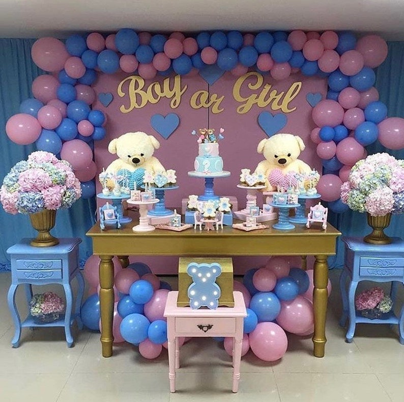 Balloon Garland DIY Kit Gender Reveal Theme