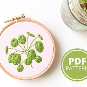 Beginner Pilea Embroidery Pattern, Pilea Peperomioides PDF Pattern, Digital Download, House Plant Embroidery Pattern, Modern Embroidery