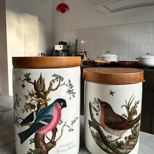 Portmeirion Birds of Britain Design Susan Williams-Ellis Storage Jar Canister Set Bullfinch Robin Vintage 1978