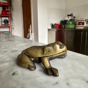 Pode incluir: Um recipiente em forma de rã de latão com uma tampa articulada. A rã é detalhada com pele texturizada e pernas estendidas, repousando sobre uma superfície de mármore. O recipiente tem uma estética vintage.