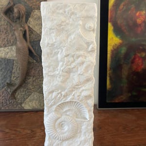 Może przedstawiać: Prostokątny, kremowy wazon z teksturowaną, kamienną powierzchnią. Wazon posiada wytłaczane wzory skamieniałości, w tym duży amonit. Wazon ma około 25 cm wysokości i jest przedmiotem dekoracyjnym.