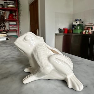 Może przedstawiać: Błyszcząca biała ceramiczna figurka żaby zaprojektowana z pustym otworem na grzbiecie. Żaba jest przedstawiona w pozycji siedzącej z teksturowanymi detalami skóry, wydatnymi oczami i błonami pławnymi, o gładkim, odblaskowym wykończeniu.