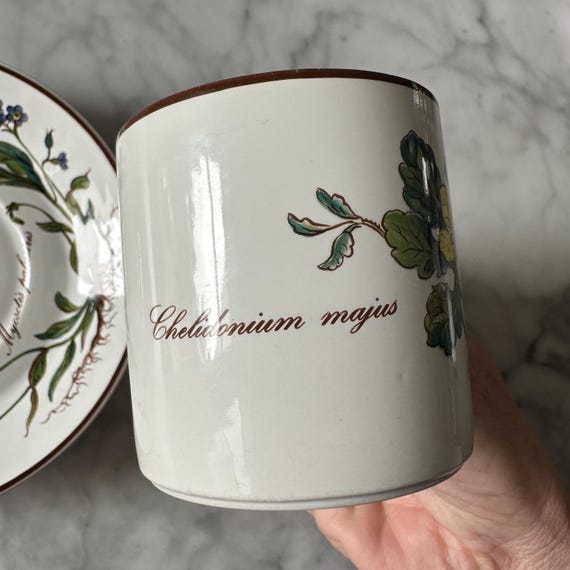 Villeroy & Boch Botanica Container Bonbonnière Mug Veronica
