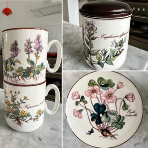 Villeroy & Boch BOTANICA ビレロイボッホ ２枚　27ｃｍ Villeroy & Boch BOTANICA ビレロイボッホ 2枚 27cm Villeroy