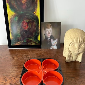 May include: A black and red four-sectioned dish with rounded edges and four individual bowls. The dish is made of plastic and has a modern design.