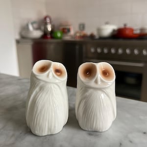Salt and Pepper Set Vintage Midcentury Owls