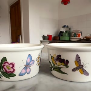 Puede incluir: Dos cuencos de cerámica blancos con diseños florales y de mariposas. Un cuenco presenta una flor rosa y morada y una mariposa azul. El otro cuenco tiene flores moradas y amarillas y tres mariposas diferentes. Estos cuencos son perfectos para servir.
