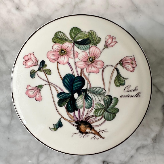 Villeroy & Boch Botanica Container Bonbonnière Mug Veronica
