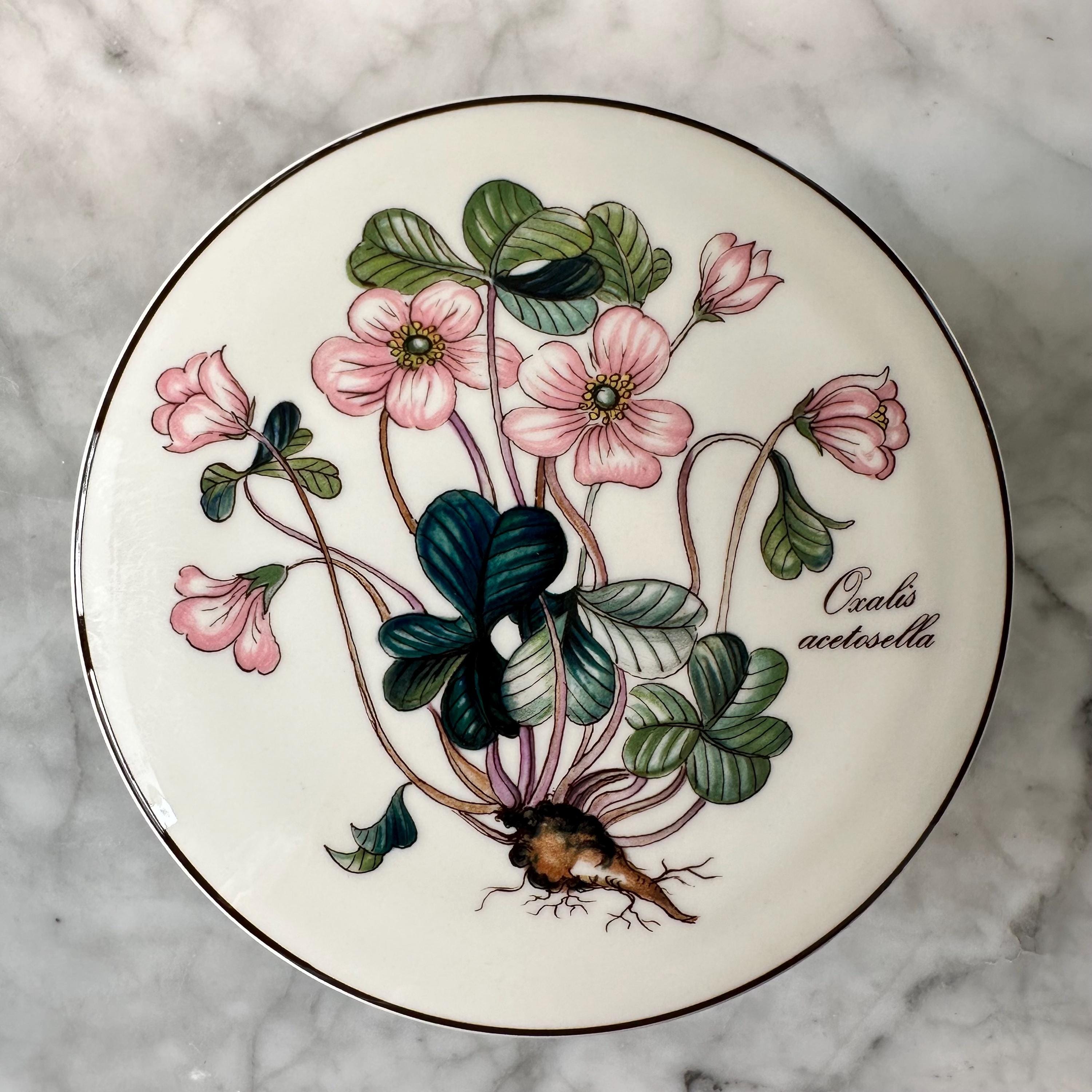Villeroy & Boch Botanica 角皿 Villeroy & Boch Botanica Container Bonbonnière Mug Veronica