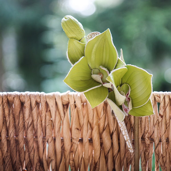 Grüne Leder Orchidee, Florale Haarspange, Haarschmuck von Oksana