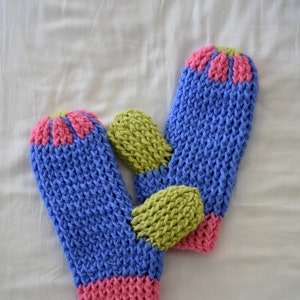 May include: A pair of blue, pink, and green knitted mittens. The mittens are made with a textured stitch and have a contrasting color at the cuff.