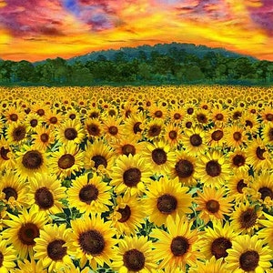 23 Panel Timeless Treasures Sunflower Sunset Panel Sold by the Panel 23 x 43 23" x 43"