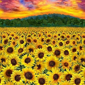 23" Panel - Sunflower Sunset Panel - Sold by the Panel (23" x 43")