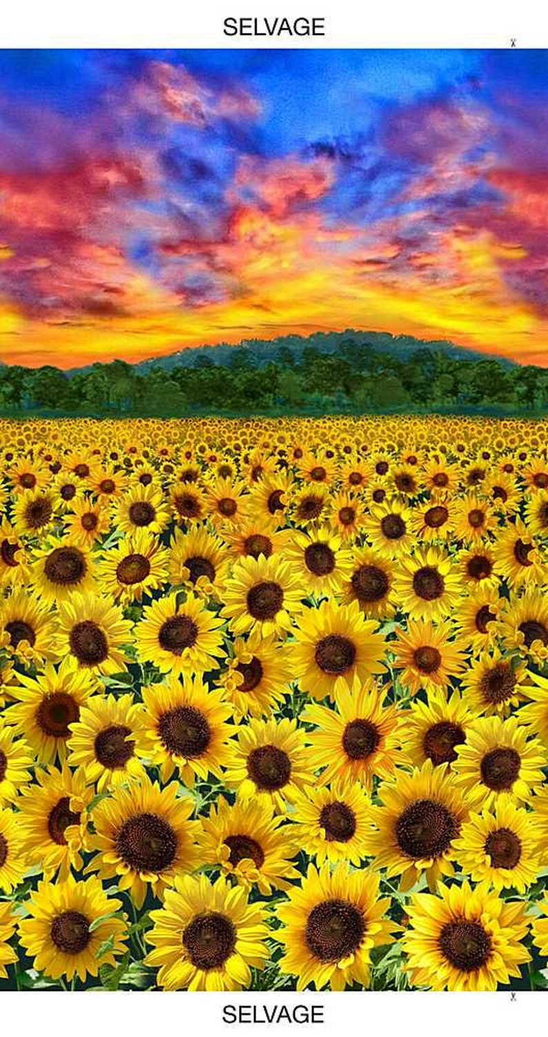23 Panel Timeless Treasures Sunflower Sunset Panel Sold by the Panel 23 x 43 23" x 43"
