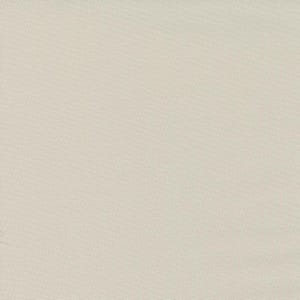 May include: A plain, off-white canvas background.