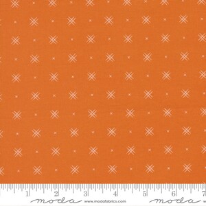 Beyond Bella New Orange Fabric by Bound Co. - Cotton Fabric