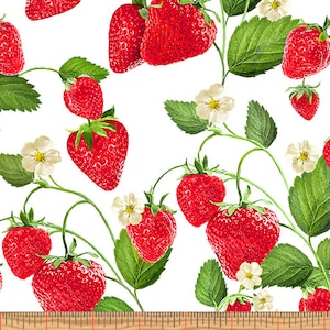 Benartex - Strawberry Fields Forever - Strawberry Patch White Fabric by Kanvas Studio - Cotton Fabric