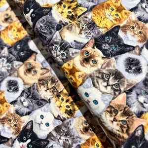 Quirky Cats - Packed Mixed Breeds Of Cats - Digital Print Fabric - Cotton Fabric