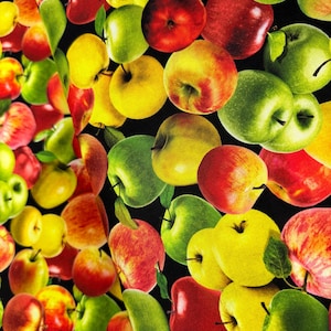 Cider House - Apple Picking Multi Fabric by Kanvas Studio - Cotton Fabric